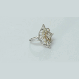 A graceful blend of rose-cut and round diamonds, crafted into a stunning ring with classic beauty and charm.(PGDR0522)